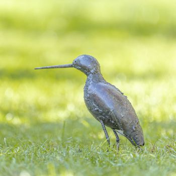 Steltloper